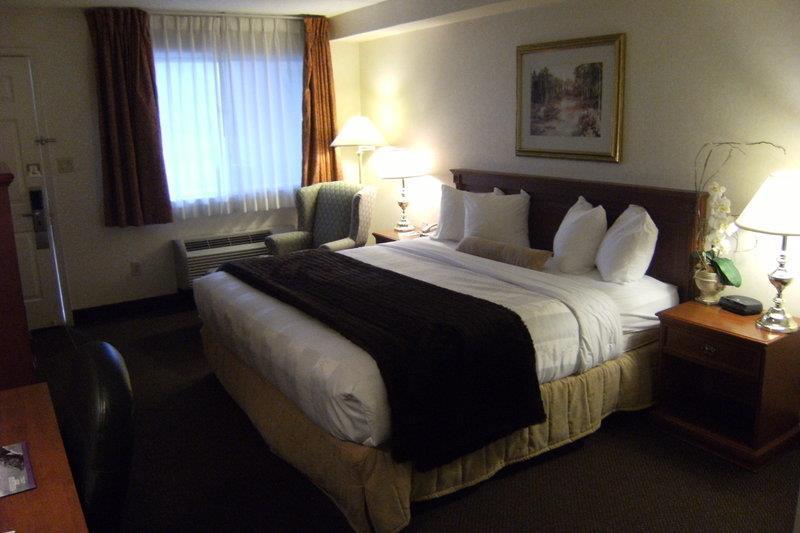 Best Western Halton Hills Georgetown Rum bild